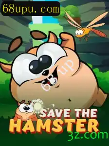 Descubra SavetheHamster: Um Jogo de Estratégia e Aventura